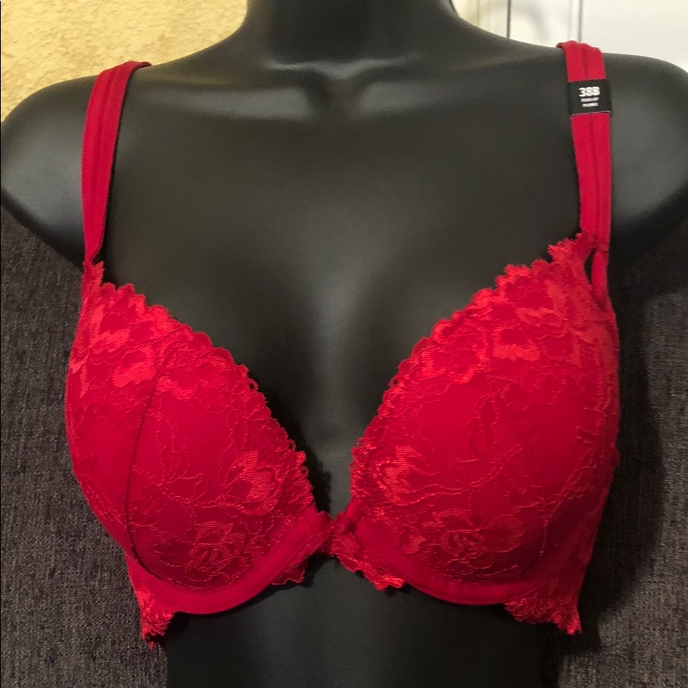 Torrid Beautiful Red Lace Bra 38B